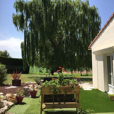 Domaine De La Vigne Bed & Breakfast Cadalen Exterior photo