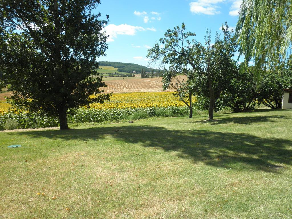 Domaine De La Vigne Bed & Breakfast Cadalen Exterior photo