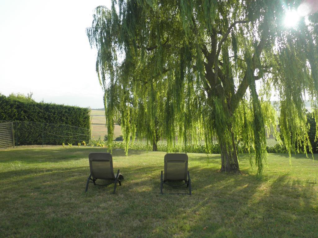 Domaine De La Vigne Bed & Breakfast Cadalen Exterior photo
