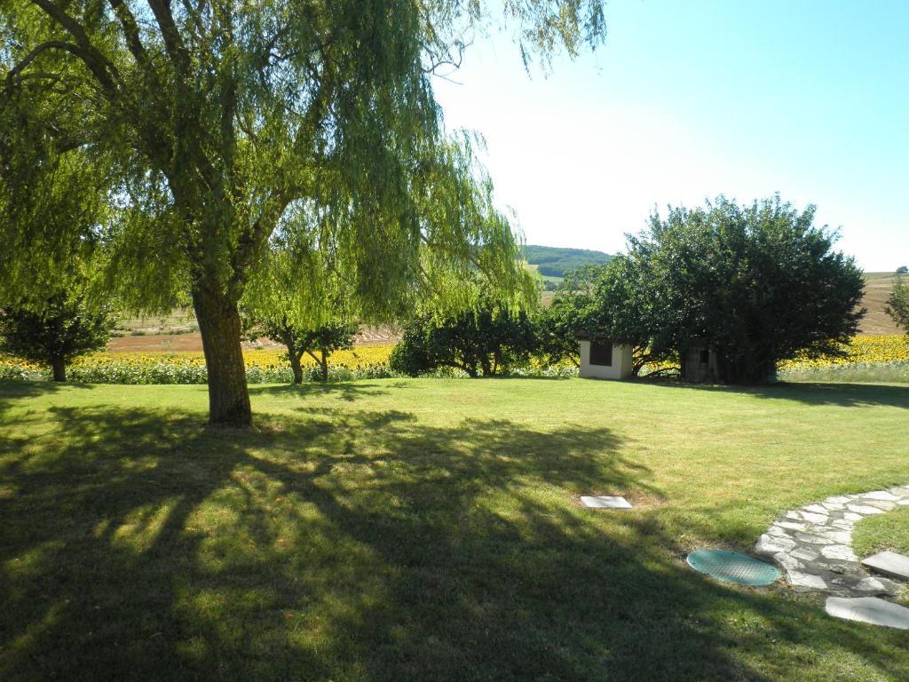 Domaine De La Vigne Bed & Breakfast Cadalen Exterior photo